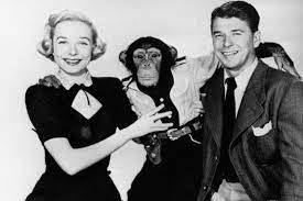 ameriKa's 1st family