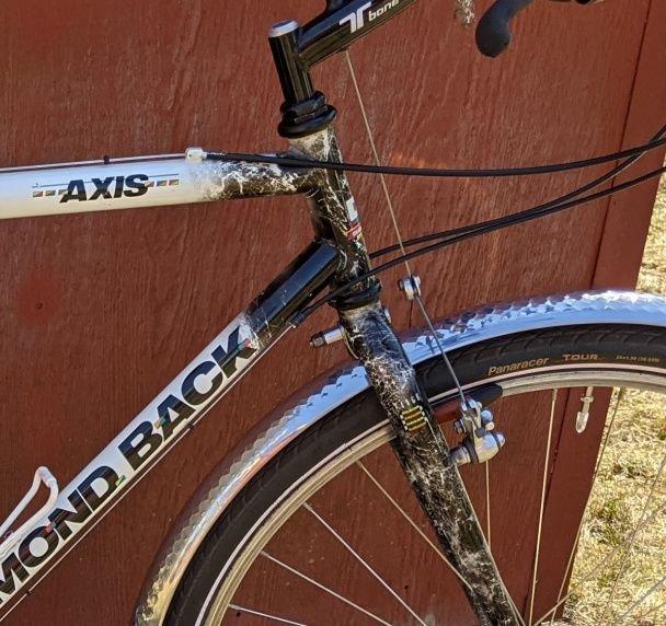 Prince TOUR PRO Z VI 26.5cm（オールコート用） Zeppelin School – Conservatorio de Arte