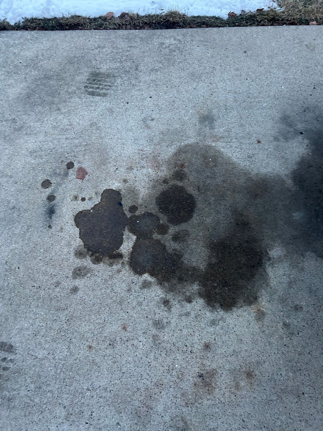 For reference, this is what the driveway spot looks like.