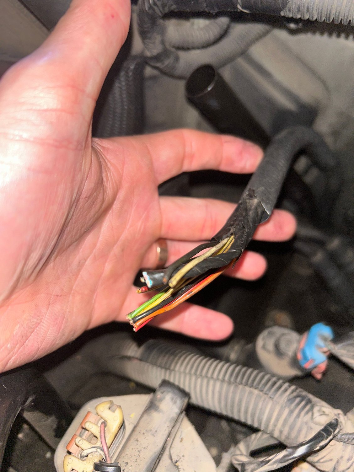 ECM Wiring that connects to female end of transmission wiring harness and other wiring that I assume is for transfer case