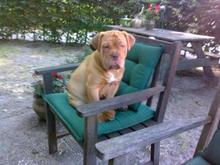 10072010106 Boris