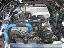 86 MUSTANG COBRA