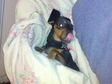 Resting after long day working on the little car