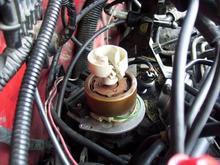 Distributor/Rotor