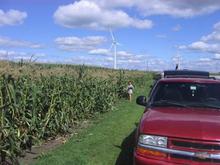 OUT PICKING CORN
