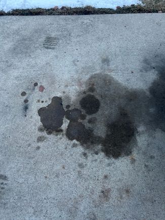 For reference, this is what the driveway spot looks like.