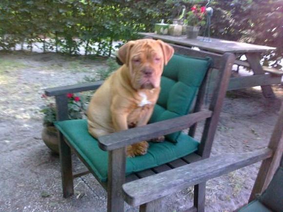 10072010106 Boris