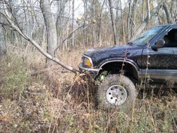 i took out about 300 trees that day..lol