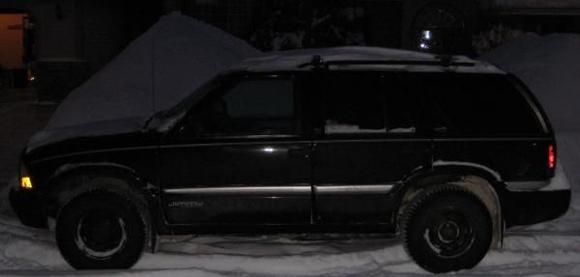 Looking Pretty in the snow