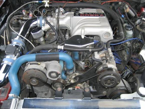 86 MUSTANG COBRA