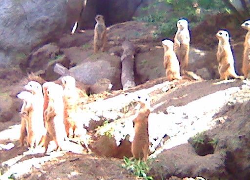 Did somebody say free beer?