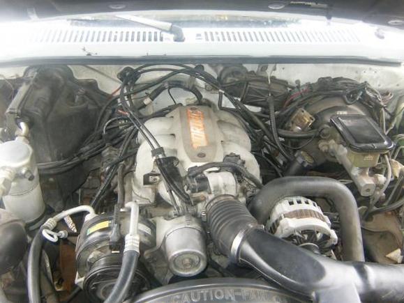 4.3 Vortec v6 witch you already know lol