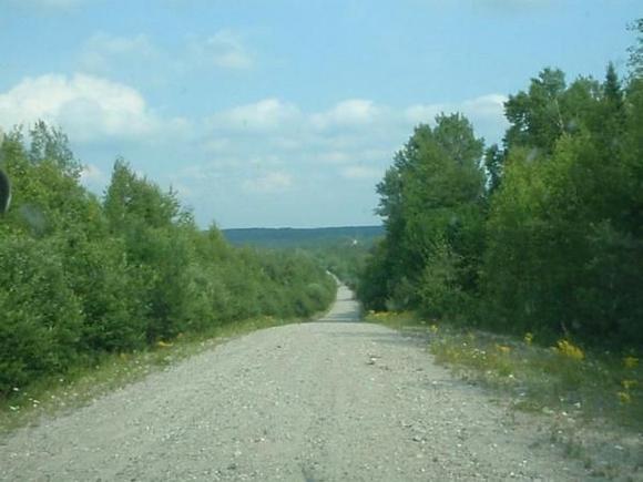 Old logging roads