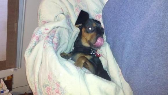 Resting after long day working on the little car