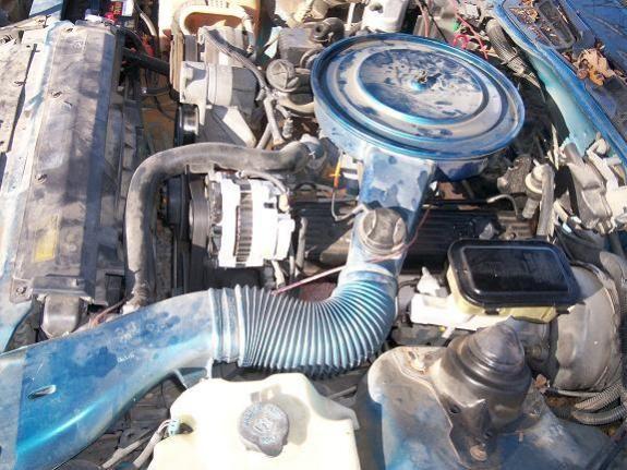 V8