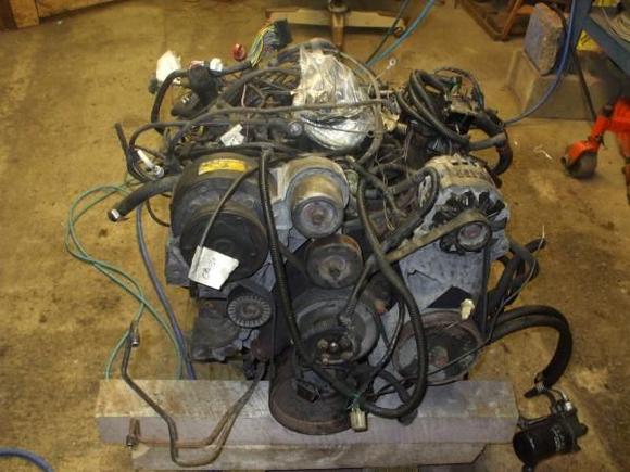 tbi gettin ready to be striped of wires