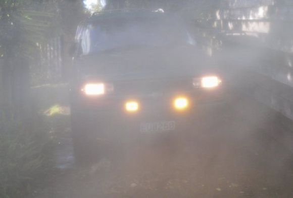 SDC12063