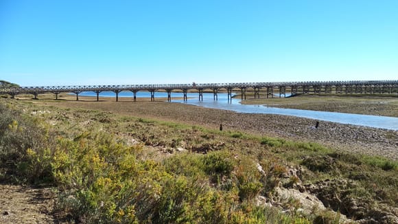 The overcrowded Ria Formosa 
