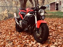 EVERYTHING is better naked!!