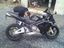 blacked out CBR