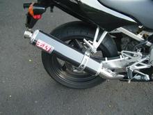 Jessica's new can: a Yoshimura carbon fiber TRS slip-on.