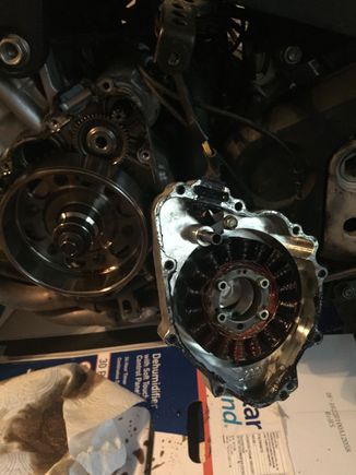 Oil leaked out and smelled like gas. Also the plastic diaphragm (looks like primer bulb) is cracked on whatever part. Any ideas 