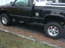black beauty