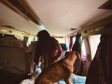 A girl and her dog.