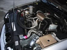 Engine bay with cold air intake, braided hoses &amp; gold fuse box and intake boot.