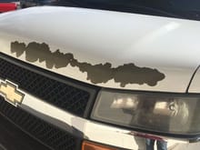 Delamination of the white paint.  This started on the hood.  In six weeks it affected the hood, 2 sides, passenger door, and roof.  @4yrs after &quot;In Service&quot; Date.  @ 75K miles