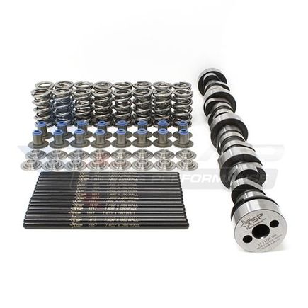 Custom camshafts and valvetrain components. (Cam Kit)