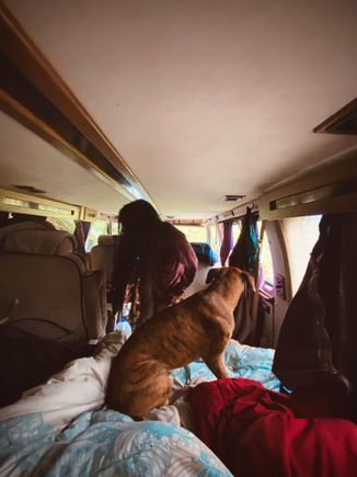A girl and her dog.