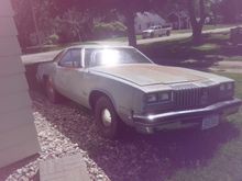 Junkyard 1977 cutlass