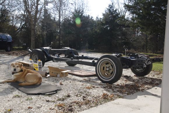 My assistant mechanic Hudson taking a break from installing the fuel and brake lines.  Usually our chicken join us for the restoration work.  One particular chicken stands over me or lays next to me as I'm on the ground working on the car!