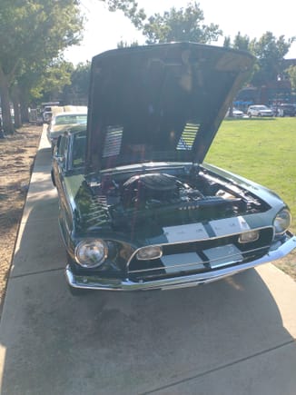 Is this a GT350?  I don't know mustangs...
