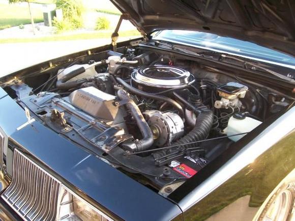 CLSOlds442, 1985 Olds 442 - engine picture