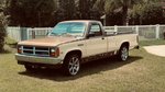1988 Dodge Dakota