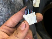 I have the same thing going on here this is the oem harness running into the door. 