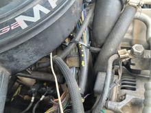 UnSqueeshed wire bundle.