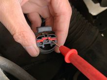 Both headlamps disconnected, I have continuity to ground on both outside pins, NOT on center pin. Battery disconnected and multifunction switch is disconnected.