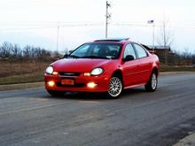 IMG 4687