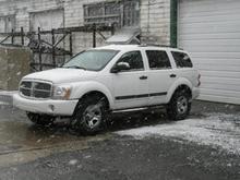 Snow Beast defying the snow... :)