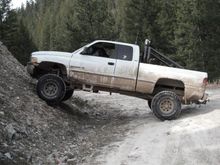 Betsie the Ram