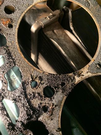 Washout in every direction. 