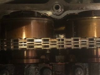 Looks burnt to me.  This is the 