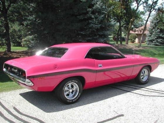 Pink lady