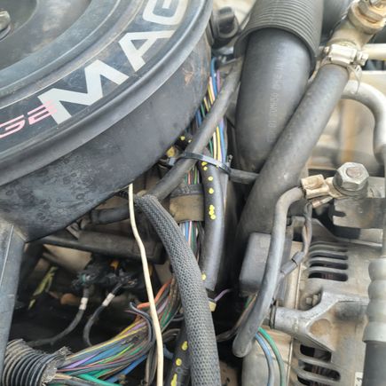 UnSqueeshed wire bundle.