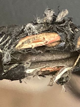 two wires with severely damaged insulation