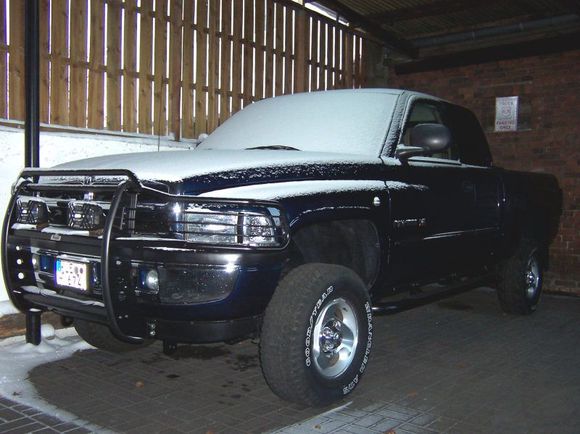 RAM in winter 2010