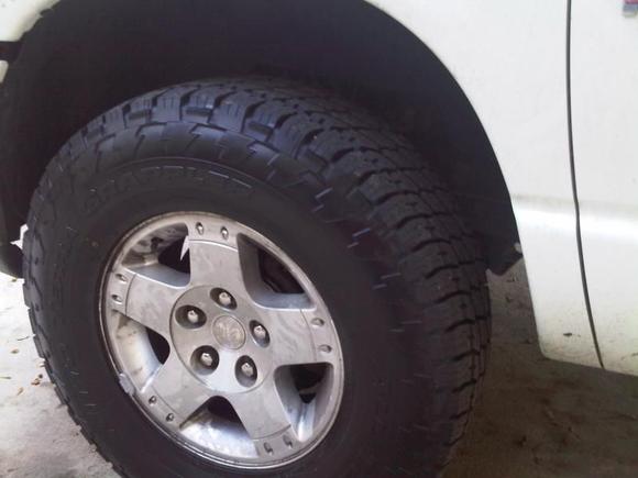NTG's 295/70/17